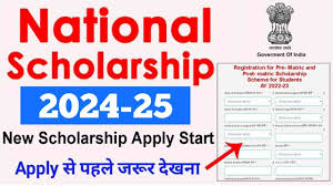 National Scholarship Website 2024 NSP Login, Check Status, Last Date